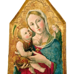 Fig. 6